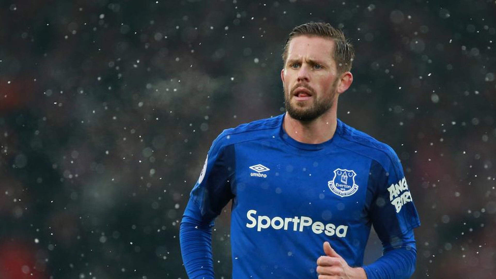 足球赛场再掀热潮，全球球迷热情期待，足球比赛球迷